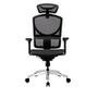 Cadeira Office Husky Lux 800, Preto - HOFB004