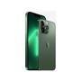 Apple iPhone 13 Pro Max, 256GB, Tela 6.7, Verde-alpino