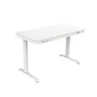 Mesa De Escritório Elétrica Com Altura Ajustável Flexispot Ew9-ww Branca 120cm