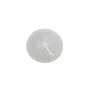 Etiqueta Rfid 13,56 Mhz Nfc Ntag213 - 10 Unidades