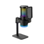 Microfone Condensador RGB Gamer Com Redução De Ruído Conexão Tipo C Profissional Cardioide