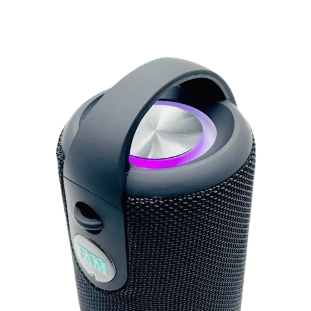 PHS本体 Boxphone fam b30 Mini Som Box Fam Bluetooth 50 Ipx6 20w KaBuM