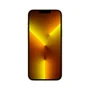 Usado - Iphone 13 Pro Max 1TB, Dourado - Excelente