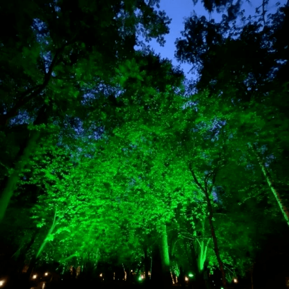 Refletor Blumenau De Led Slim 10w Verde Preto Bivolt Refletor Blumenau De Led Slim 10w Verde Preto Bivolt
