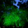 Refletor Blumenau De Led Slim 10w Verde Preto Bivolt