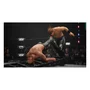 Jogo Aew: Fight Forever Ps4 Europeu